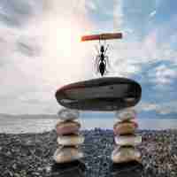 精​准‌网‌站‌排‍名​服‍务‍